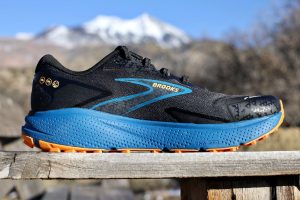 Brooks Divide 5 - medial