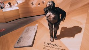 Australopithecus afarensis – Lucy – feature