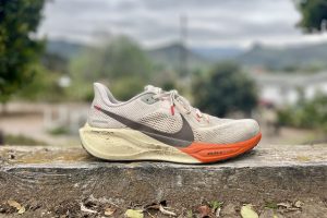 Nike Pegasus 41 Midsole