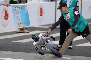 2025 Beijing E-Town Half Marathon - robot down