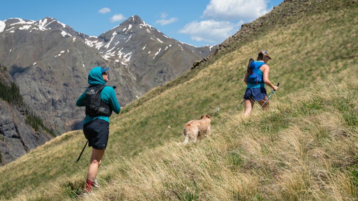 Best Running Vest - two runners and a dog running up grassy mountainside on sunny day