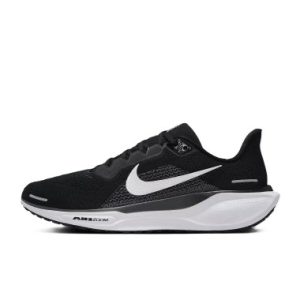 Best Road-to-Trail Shoes - Nike Pegasus 41 - product photo