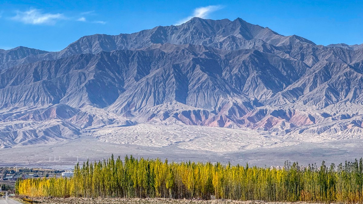 In Praise of the Big Hairy Audacious Goal