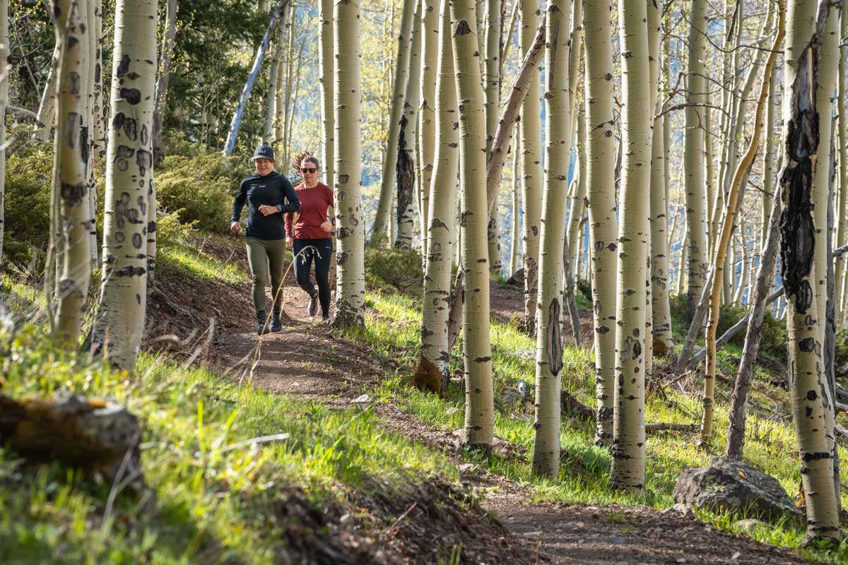 Running in aspen grove
