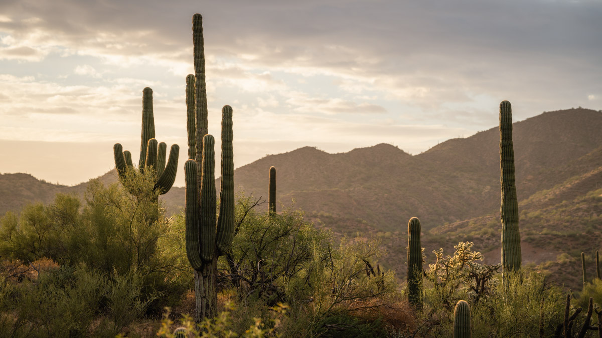 Shifting Previous Psychological Lows on the 2025 Javelina 100 Mile – iRunFar Shifting Previous Psychological Lows on the 2025 Javelina 100 Mile – iRunFar