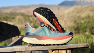 Rabbit High Country - feature