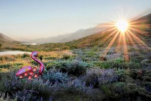 Snow Valley Peak aid station - flamingo theme