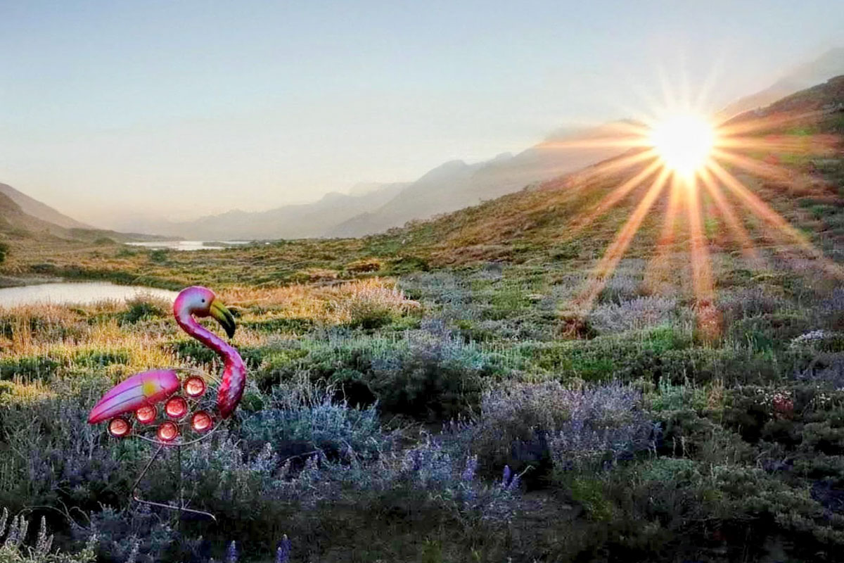 Snow Valley Peak aid station - flamingo theme