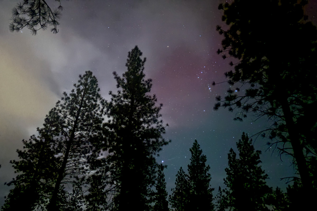 Zach Miller - aurora