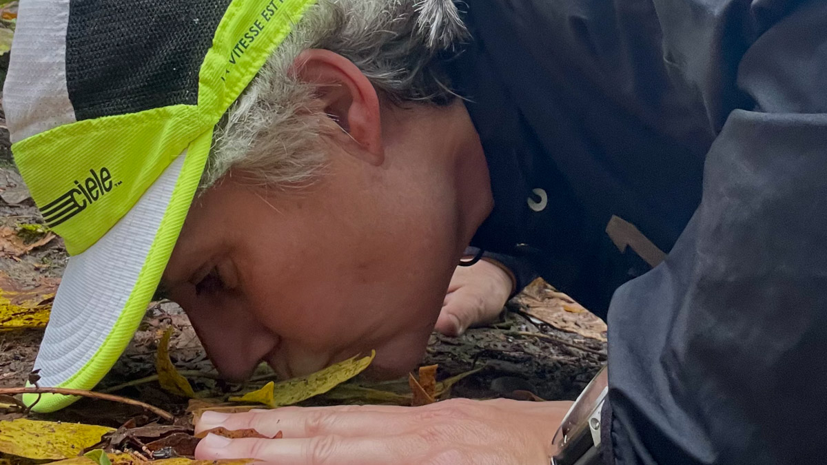 Returning: A Poem by Angie Funtanilla