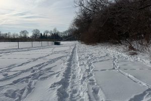 Sabrina Little - snowy trail