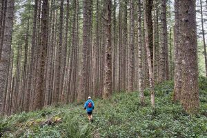 Paul Lask - low-tech running - running in forest