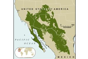 Running the Numbers - deserts of United States