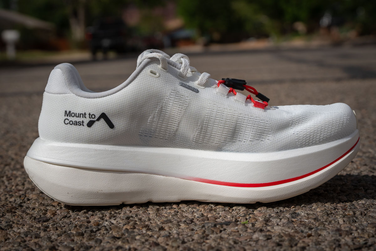 Mount to Coast C1 - medial