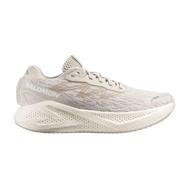 Best Cushioned Running Shoes - Salomon Aero Glide 4 - product photo