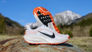 Nike ACG Pegasus - feature