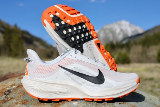 Nike ACG Pegasus