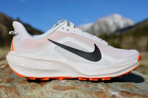 Nike ACG Pegasus - lateral