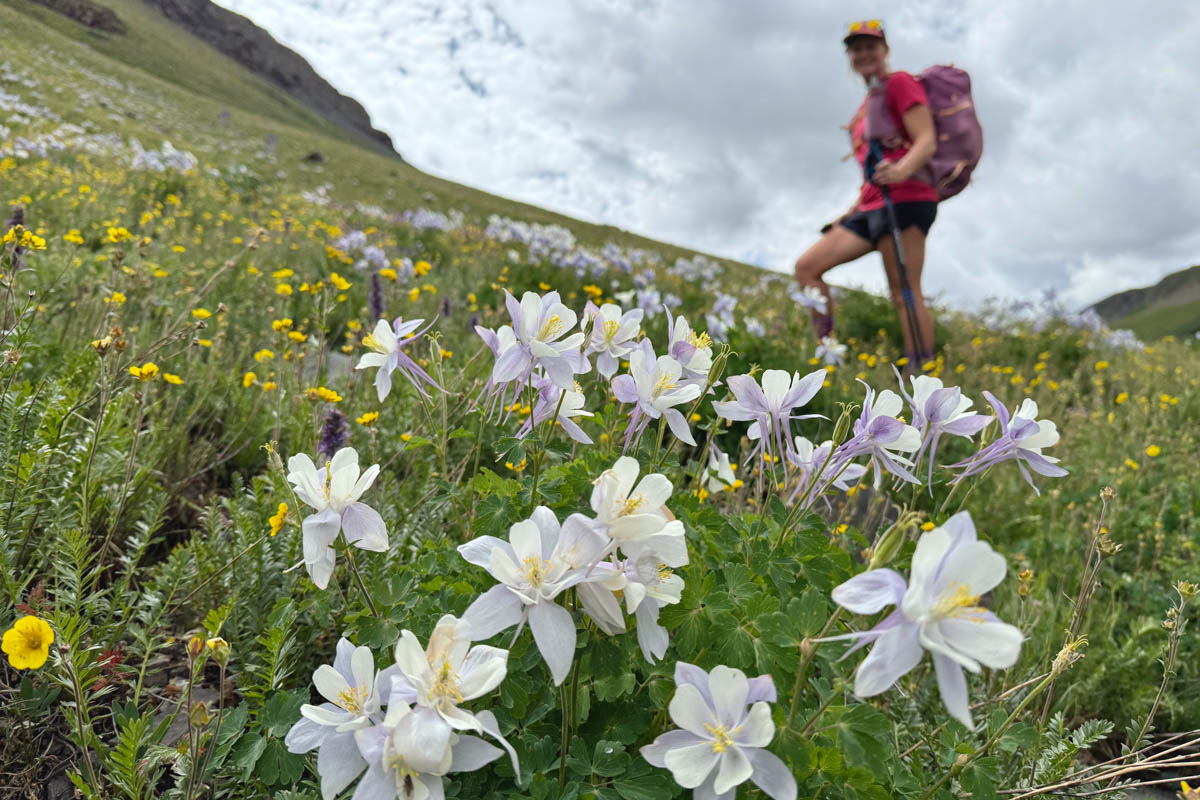 Best Fastpacking Pack - Flowers and fastpacking