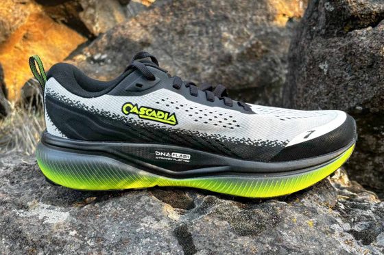 Brooks Cascadia 20 medial