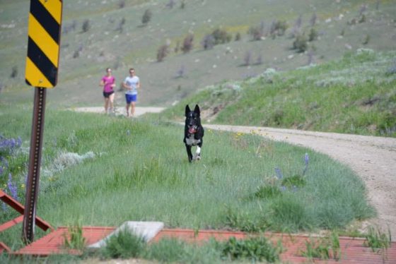 Gabe Joyes Denali running photo