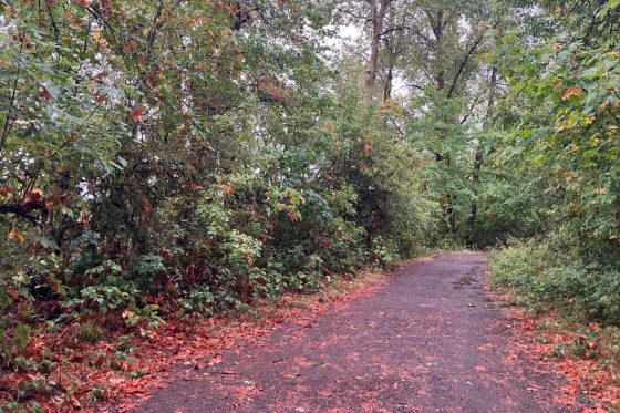 AJW running path