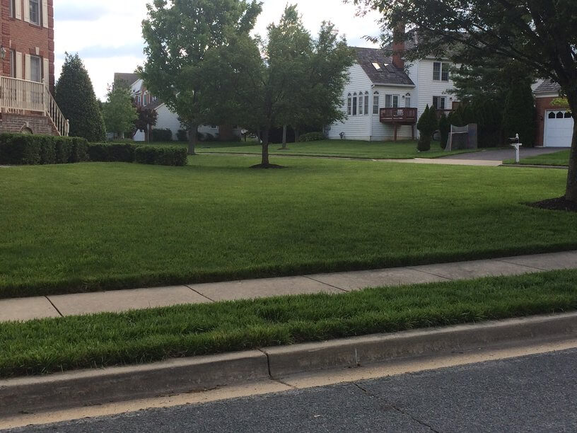 Alexandria, VA Lawn Care Service Lawn Mowing LawnStarter®