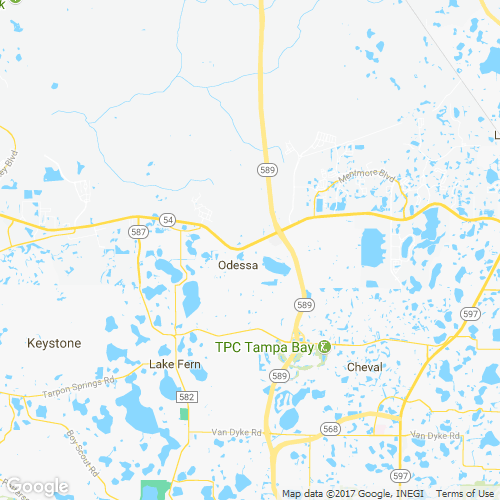 Odessa, FL Lawn Care Service Lawn Mowing from 19 LawnStarter