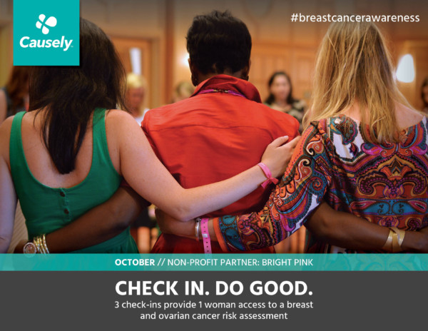 Our October cause is Bright Pink and Breast Cancer Awareness.  3 Check-Ins provides 1 Risk Assessment