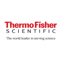 Team Building Milano