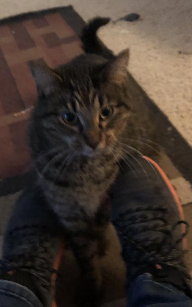 Glendale Care And Rehab Center Nursing Home in Glendale, WI