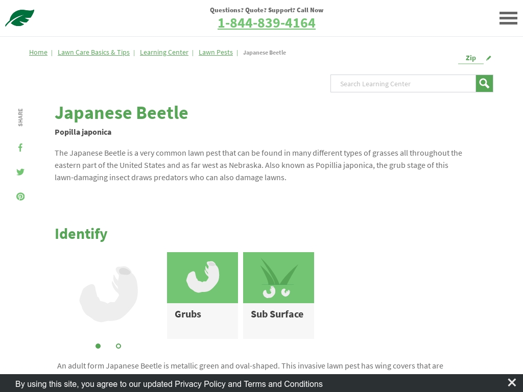 100 Trending Lawn Care Services To Watch In 2021