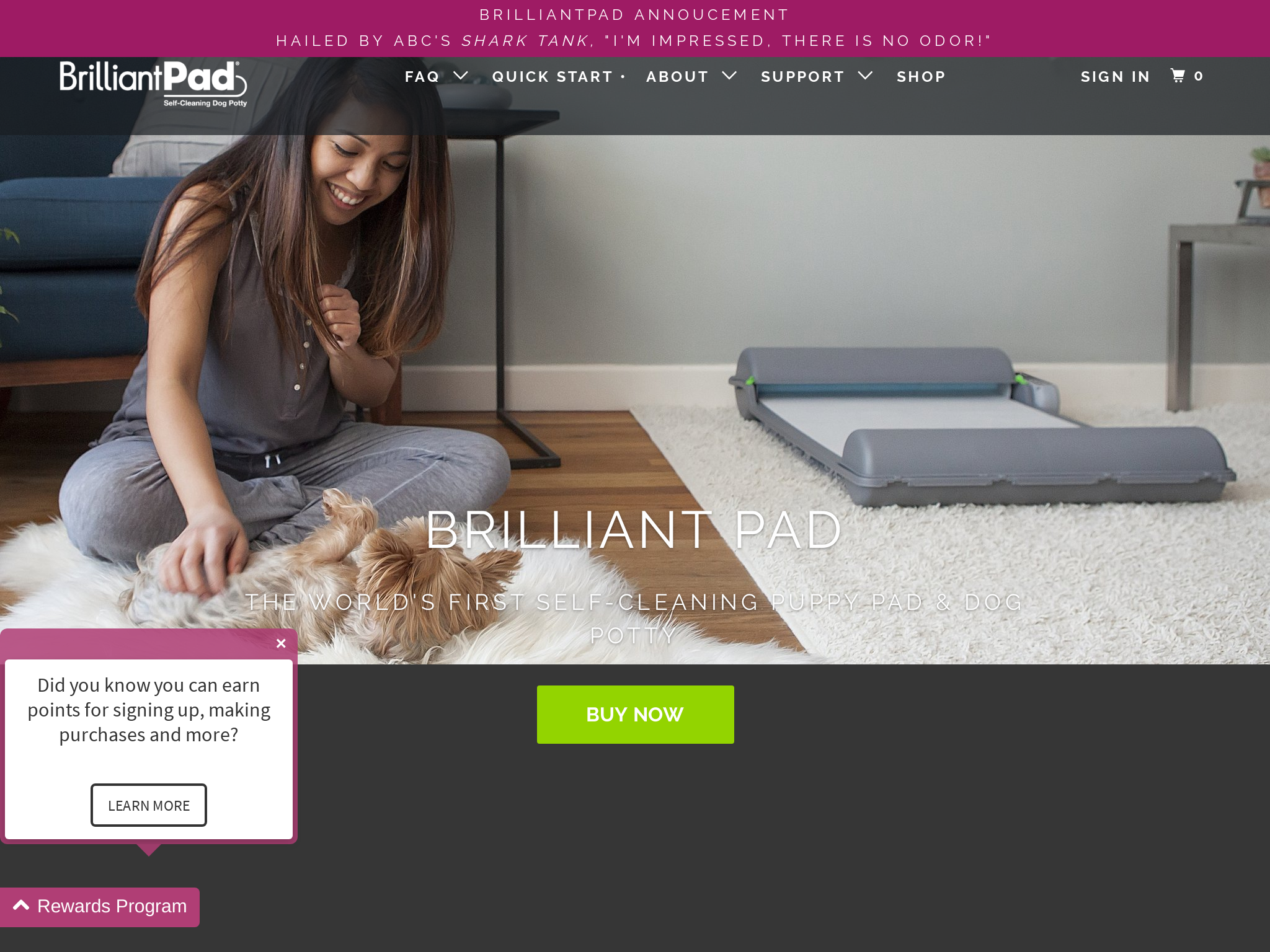 self cleaning dog pad