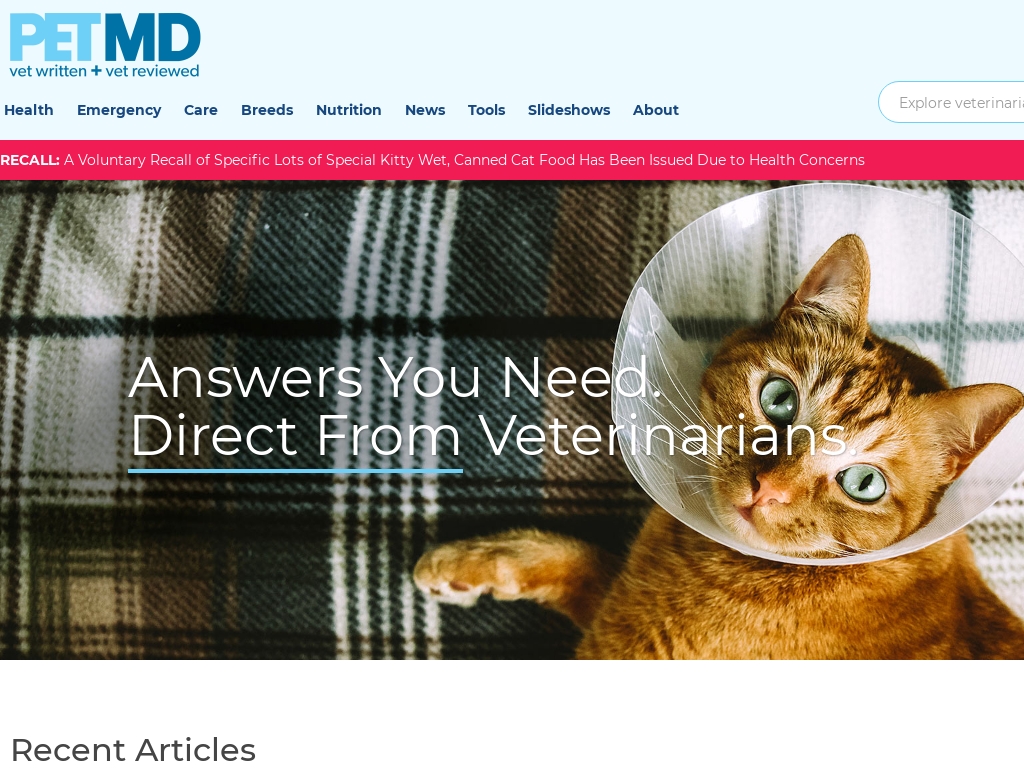 5 Pet Health Expert Success Stories [2024] Starter Story