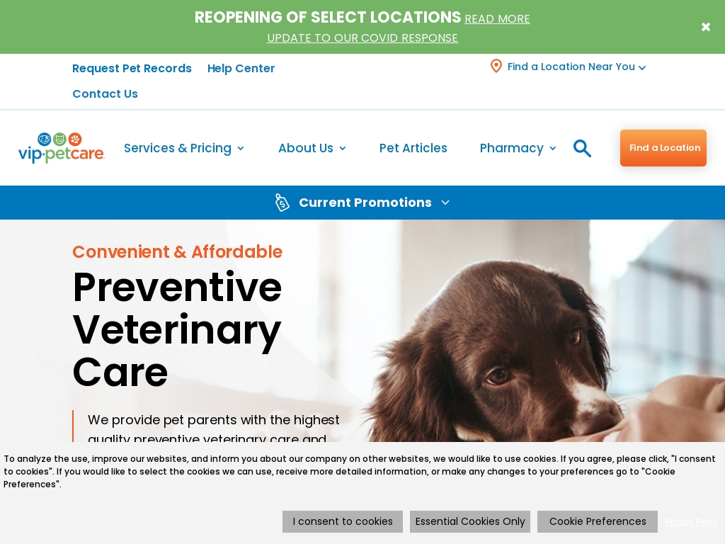 Start A Pet Microchip Business Ideas Starter Story