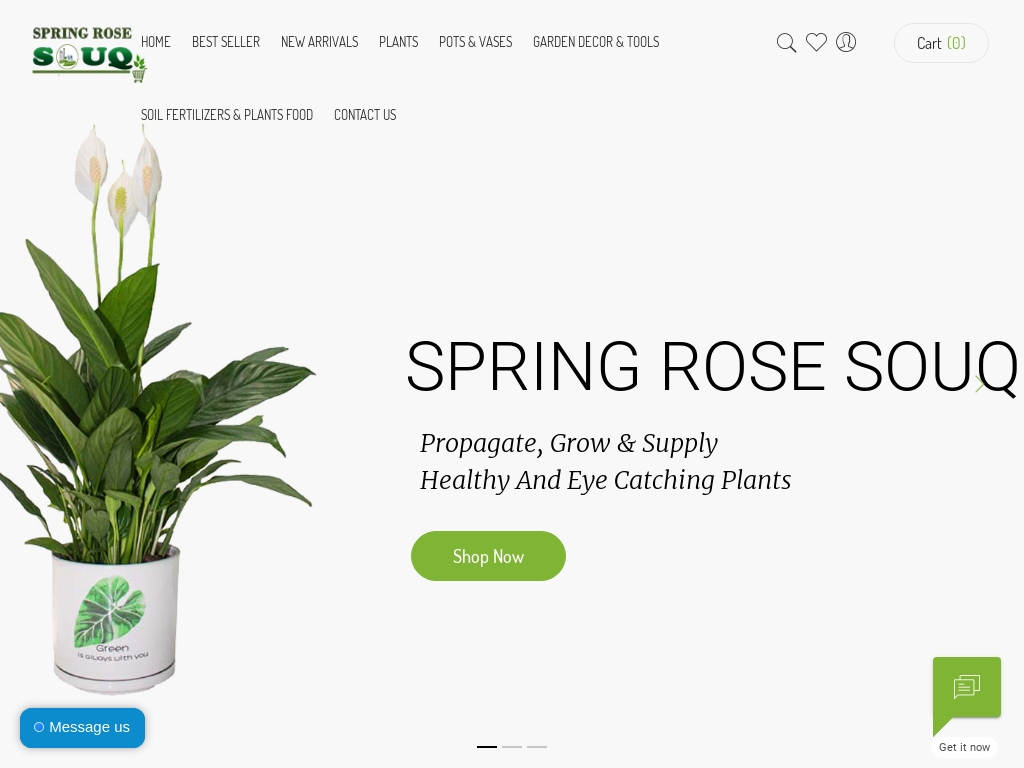 Start A Flower Pots Business Business Ideas Starter Story