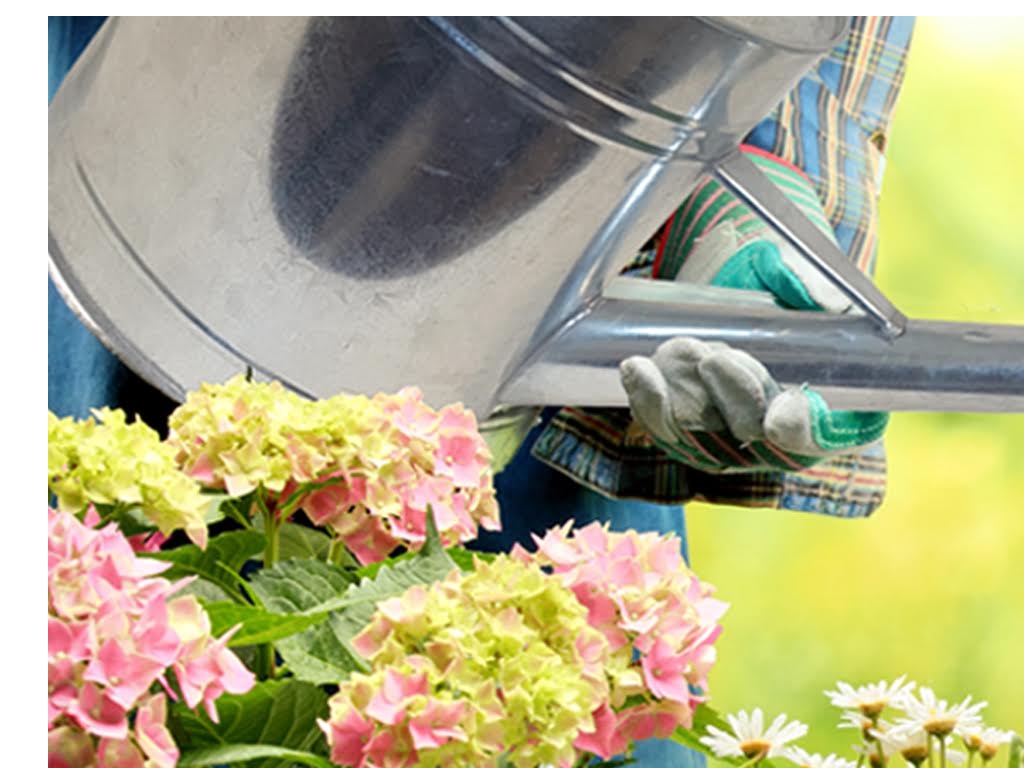 Start A Flower Pots Business Business Ideas Starter Story