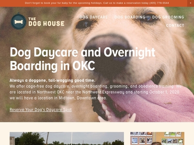 dog daycare downtown