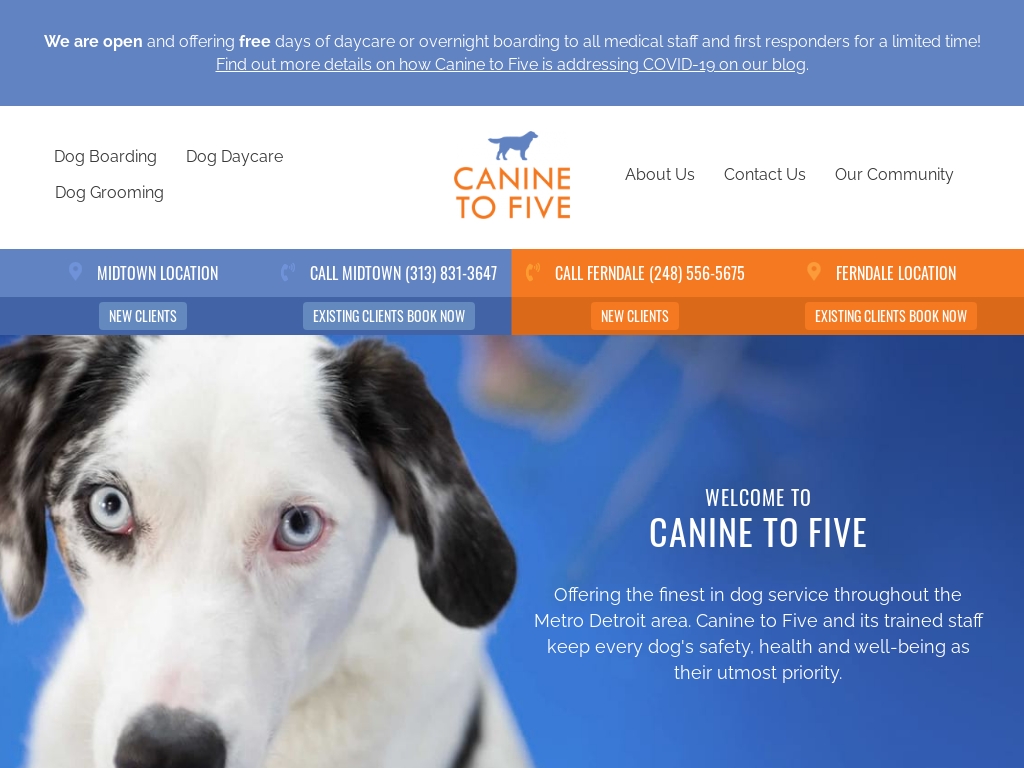 How Do I Start A Dog Hotel Business