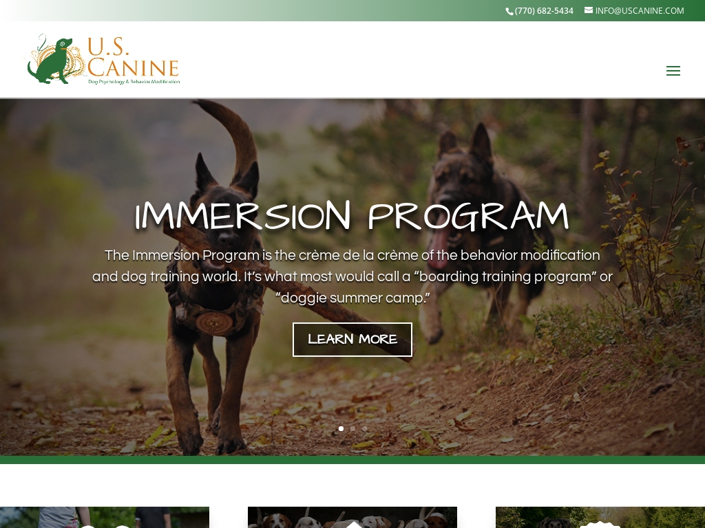 20 Trending Dog Behavioral Specialist Businesses 2024 Starter