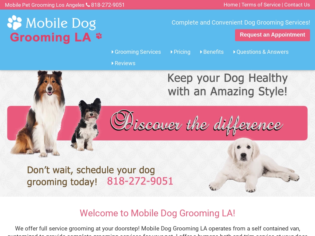 Benefits of Professional Pet Grooming Services – Lucky Dawg Salon Grooming  in California