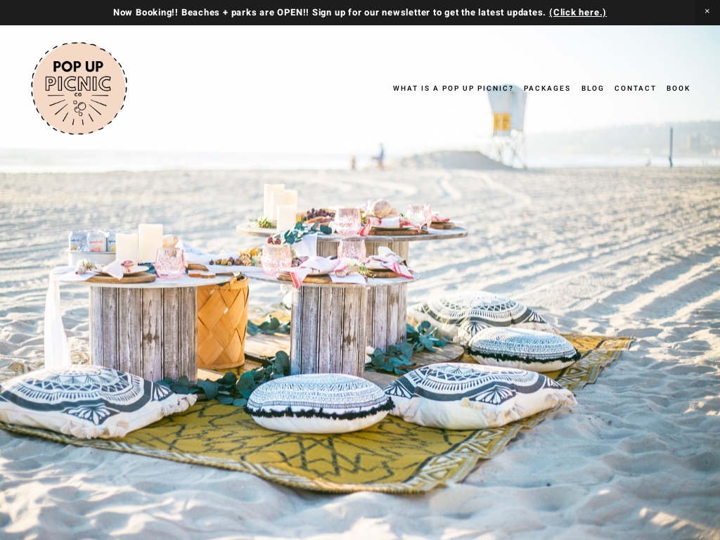 Luxury Picnic Business Business Ideas Starter Story