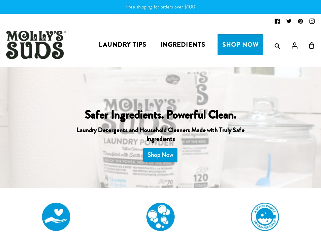 A Laundry Detergent Manufacturer Business Ideas Starter