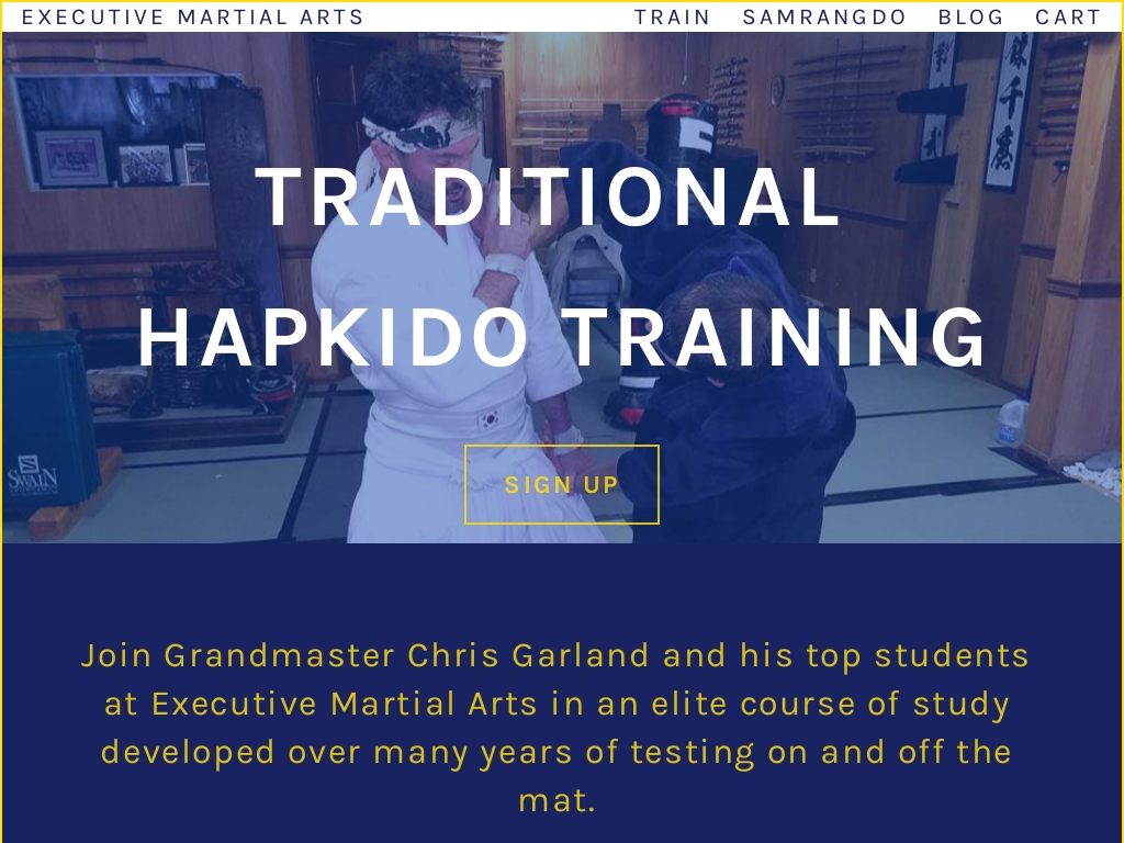 42 Trending Martial Art School Businesses [2024] Starter Story