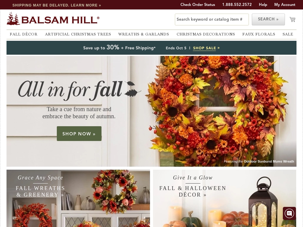 5 Christmas Tree Delivery Business Success Stories [2024] Starter