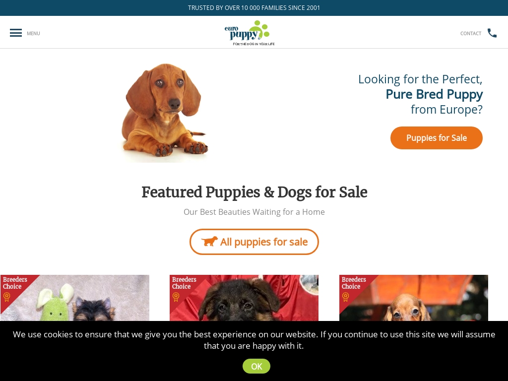 5 Dog Breeding Business Success Stories [2024] Starter Story