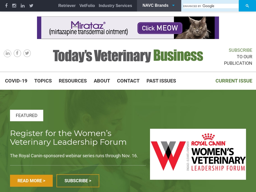 Start A Veterinary Clinic Business Ideas Starter Story