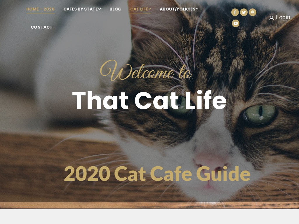 Start A Cat Cafe Business Business Ideas Starter Story