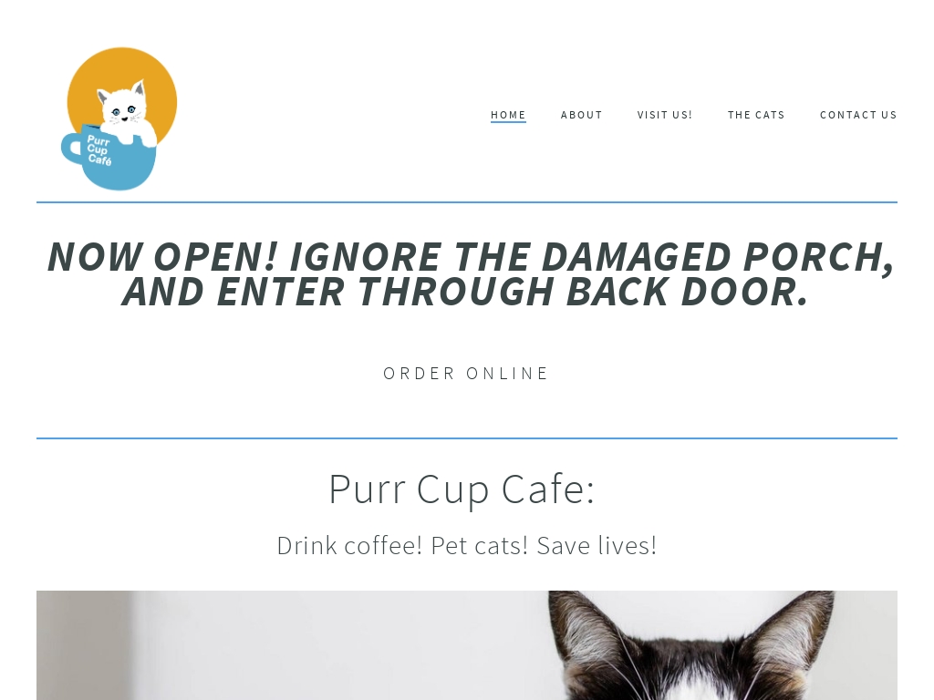 Starter Story Learn How People Are Starting Successful Businesses