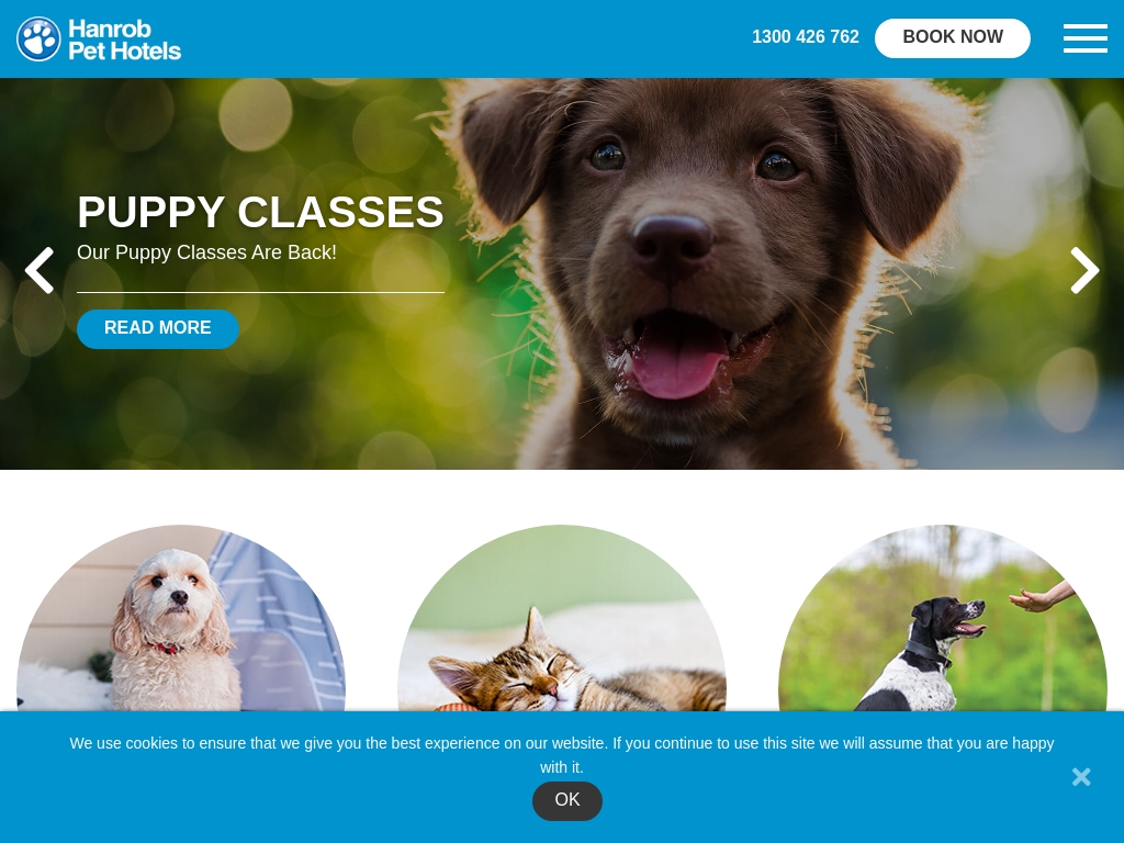 5 Pet Hotel Business Success Stories [2023] Starter Story